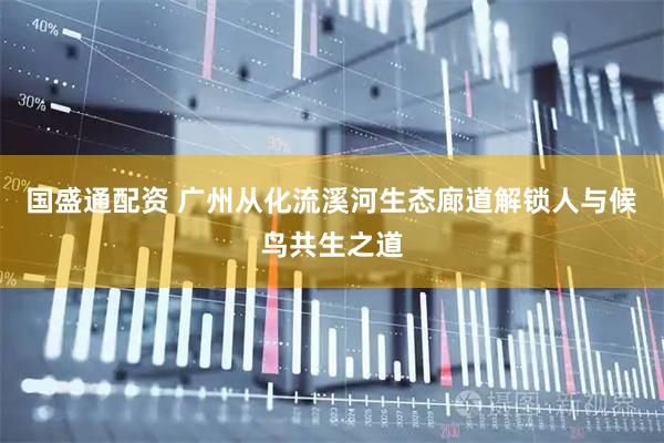 国盛通配资 广州从化流溪河生态廊道解锁人与候鸟共生之道