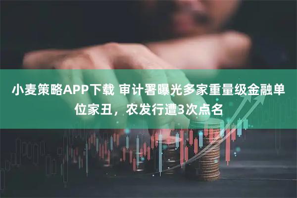 小麦策略APP下载 审计署曝光多家重量级金融单位家丑，农发行遭3次点名