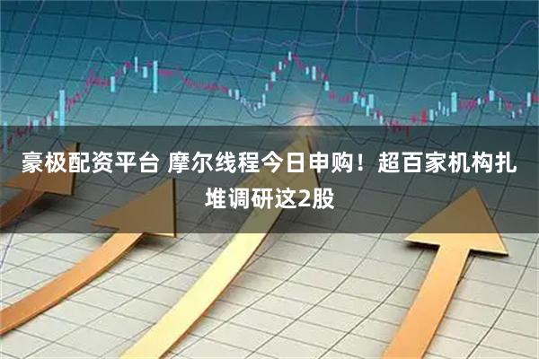 豪极配资平台 摩尔线程今日申购！超百家机构扎堆调研这2股