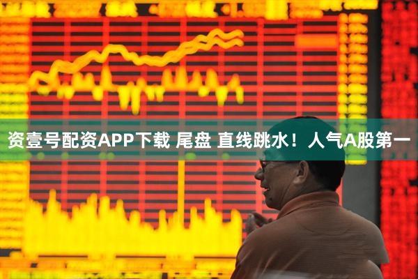 资壹号配资APP下载 尾盘 直线跳水！人气A股第一