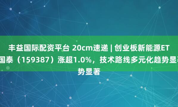 丰益国际配资平台 20cm速递 | 创业板新能源ETF国泰（159387）涨超1.0%，技术路线多元化趋势显著